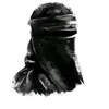 nicat_fgg