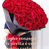 _maria.salome