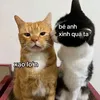 nnhh_043