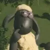 nickollasjanim