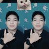 dion_smr31