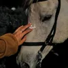 t_b_11
