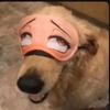 jjk_cancionesgod0