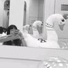 kimaybeyourss