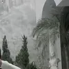 ditmemayconchorack