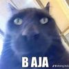 hasajaa_