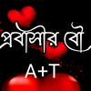 msarifa5644
