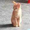 tuanztrinh5
