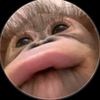 itzmisael83