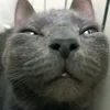 podsel_na_soznanie