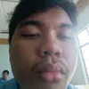 t4nli