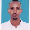 abudo273