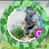 dediloren