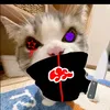 chongemdayneek