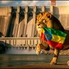 queensmysteryethiopia