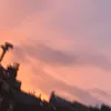 celestrialx