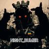 night_bumer