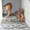 tuyen.nguyen9693