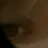 _jkfdfl