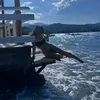 sophiaingreece