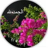 قلبي ❤️ صافي 🧡
