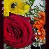 AmaL\امل