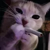 danisimo_live
