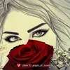 perkinsdvtali