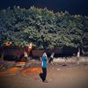 yousseffathy344