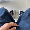 daniorec