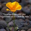 morena24126