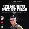 shlomihasin10