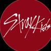 _straykidscollison