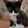 srixzy