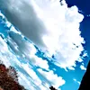 joao_costa.0
