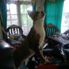 bunda.selalu.ber.d