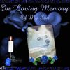 jodimorris852