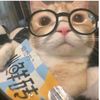 bambam_483