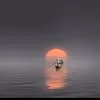 nhat.phong.hap