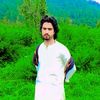 zama_zargay3