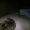 nongminhvu01