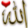 mdmonir41975gmail