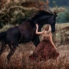 horse_world.design