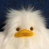 kaw_fang_81