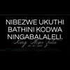 user45033359516192