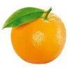_grekcheburek_