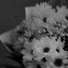 thanhxuan_077