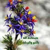 mohamedbarkani2797