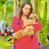 sashineha