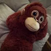 danghuyy37